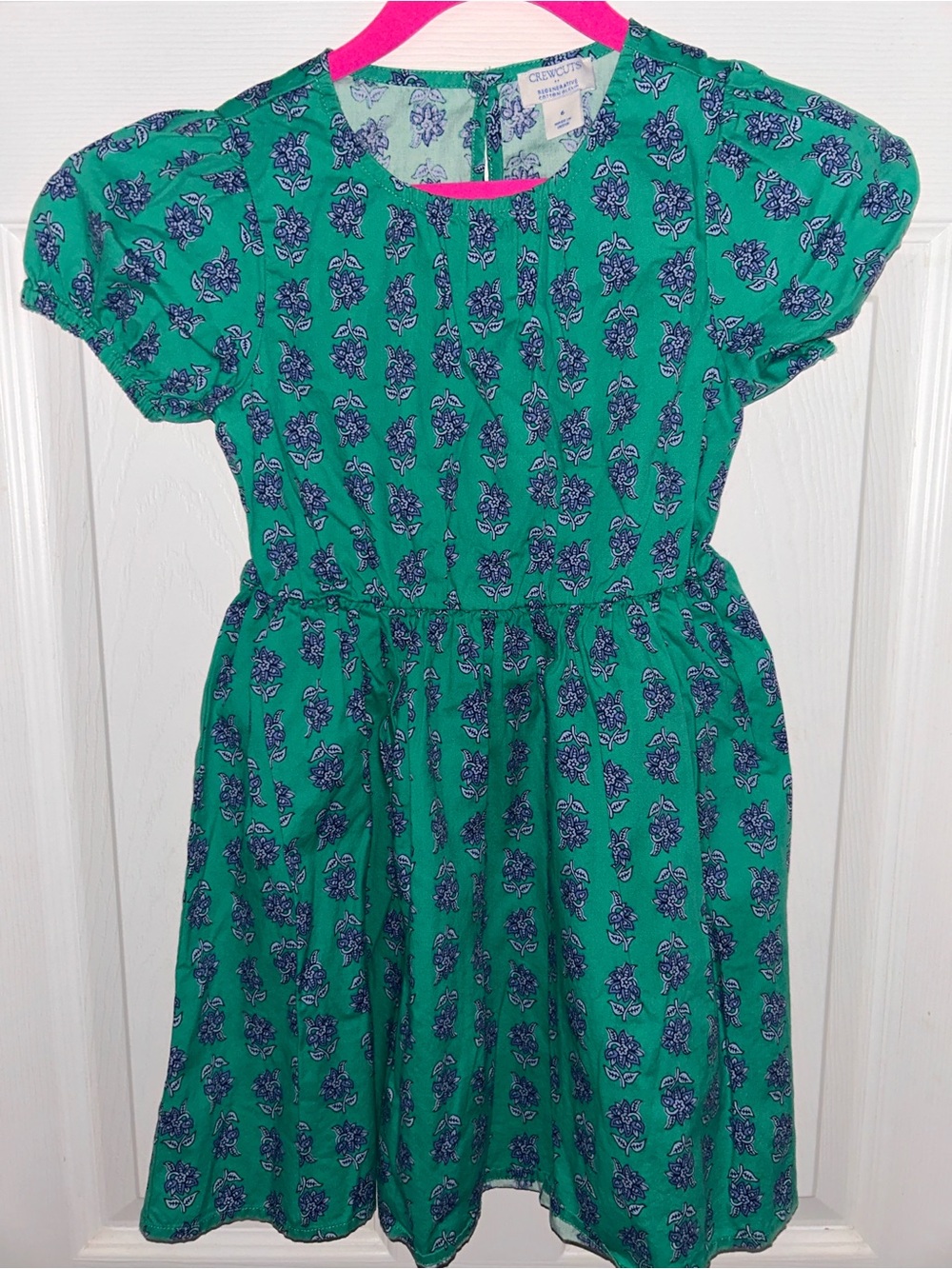 Crewcuts Green Dress with Blue Floral Print